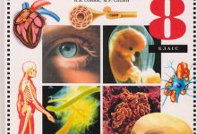 Photo of Биология и психология человека