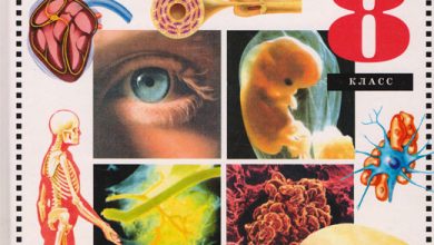 Photo of Биология и психология человека