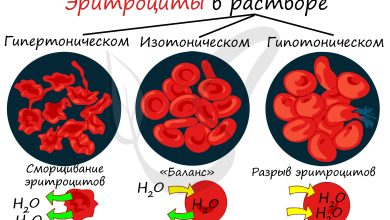Photo of Химические реакции в клетках