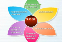 Photo of Биологические аспекты здоровья