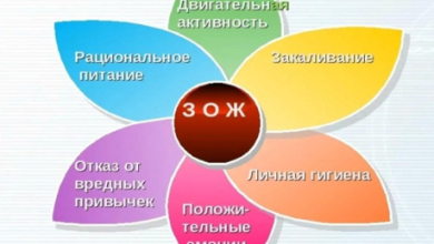 Photo of Биологические аспекты здоровья