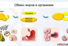 Photo of Химические процессы в организме