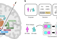 Photo of Биология и психология: взаимодействие процессов