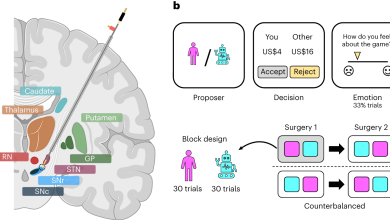 Photo of Биология и психология: взаимодействие процессов