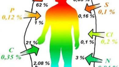 Photo of Химические элементы в организме