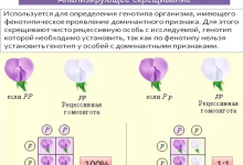 Photo of Генетика: основа жизни на Земле