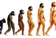 Photo of Эволюция и биология: становление видов