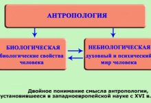 Photo of Биология и антропология: исследование человека
