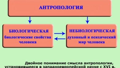 Photo of Биология и антропология: исследование человека