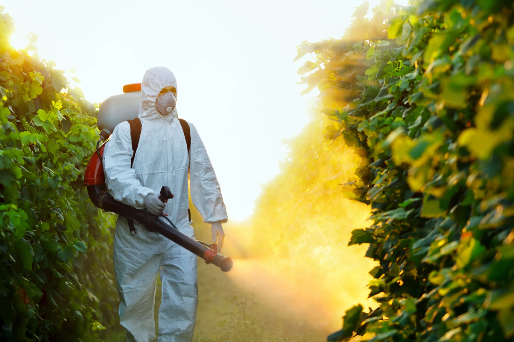 Фото 9 — Химия и сельское хозяйство: урожайность и безопасность