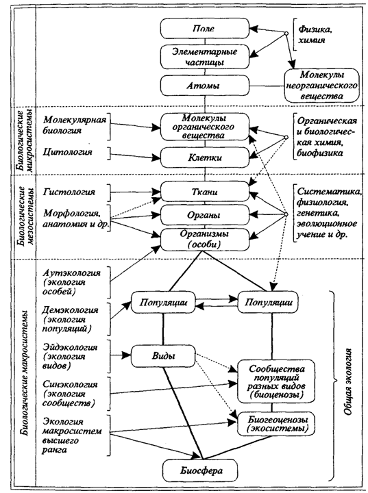 Photo of Биология и экология: взаимосвязь
