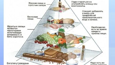 Photo of Химический состав пищи