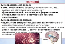 Photo of Биологические основы эмоций