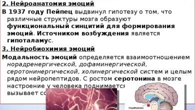 Photo of Биологические основы эмоций