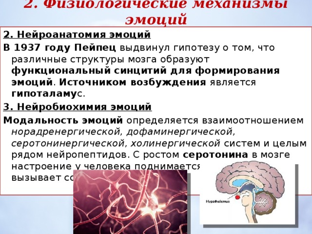 Фото 7 — Биологические основы эмоций