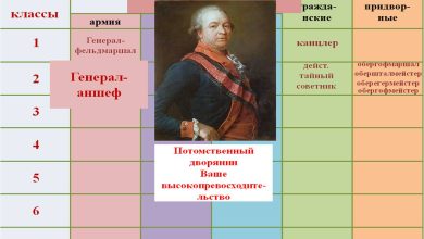 Photo of Загадочный процесс создания таблицы