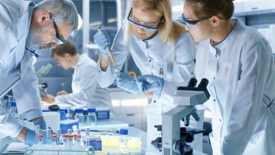 Photo of Биология в медицине: открытия и прогресс