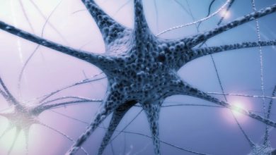 Photo of Биохимия и борьба с болезнями